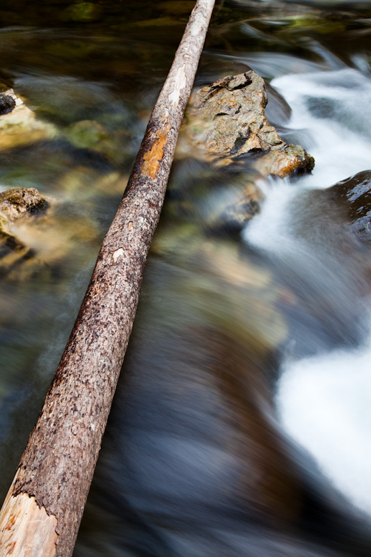 Fallen Tree And Small Cascade